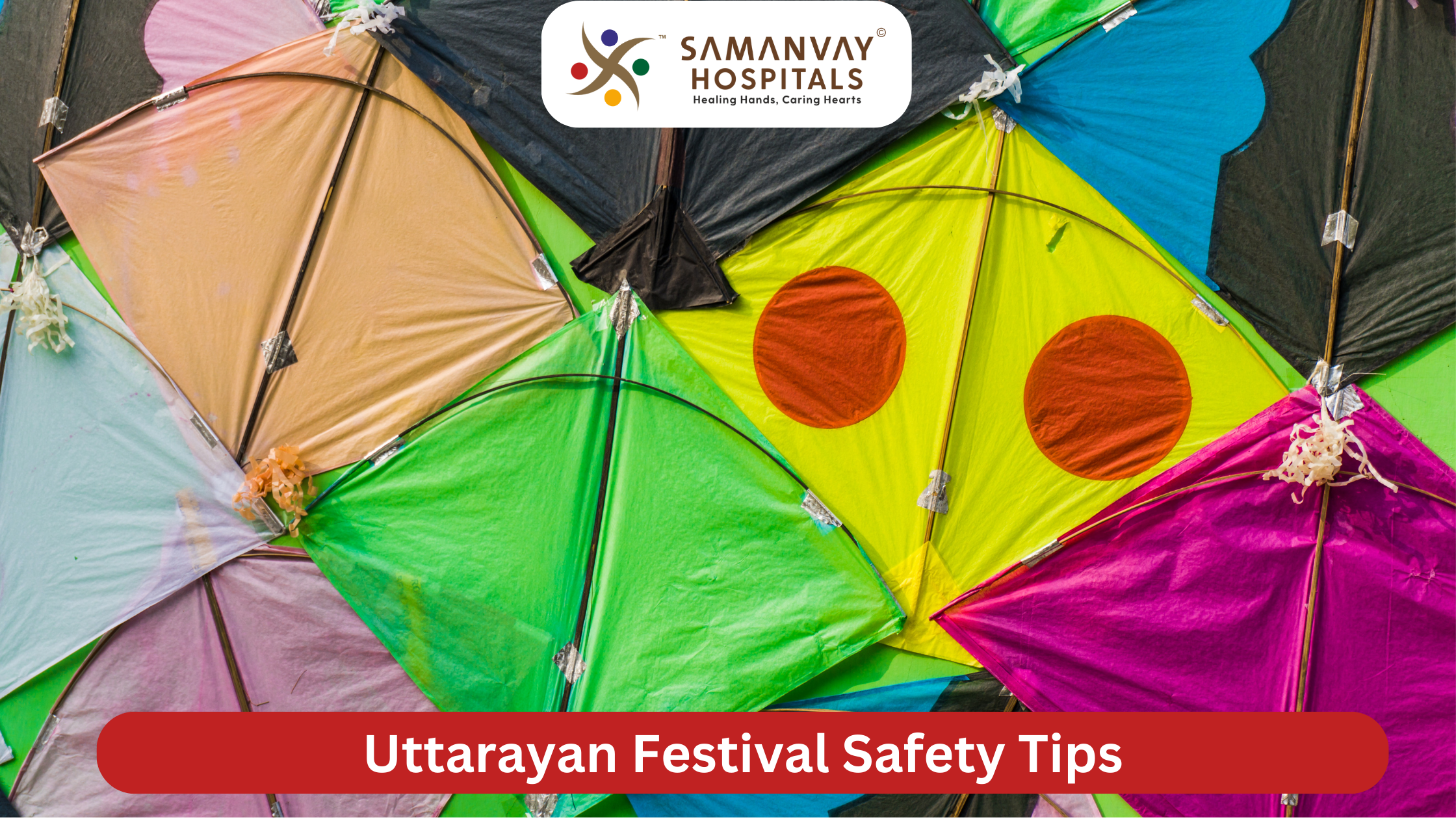 Makar Sankranti Safety Tips: A Guide to Health, Bird Safety & Responsible Flying