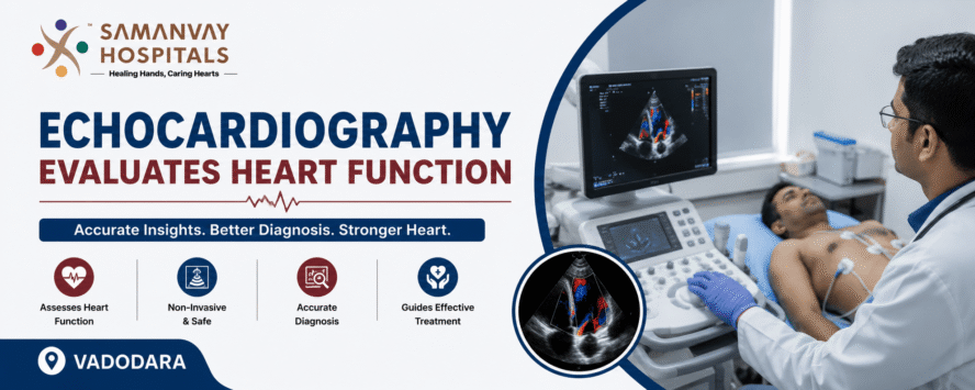 Echocardiography Evaluates Heart Function